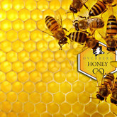 Visit our shop for a tour